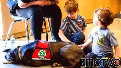 The Impact of Therapy Dogs on Joy in the Classroom